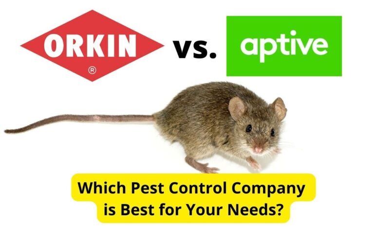 Choosing the Right Pest Control Service for Woodrat Problems