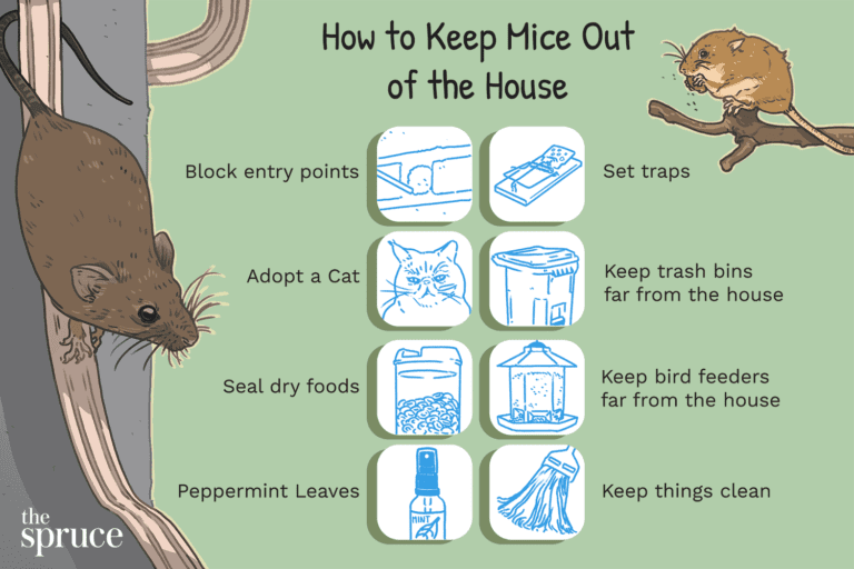 How to Protect Your Property from Field Mice: Tips and Techniques