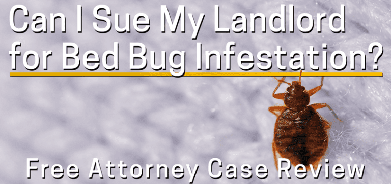 Bed Bugs in Rental Properties: Rights and Responsibilities