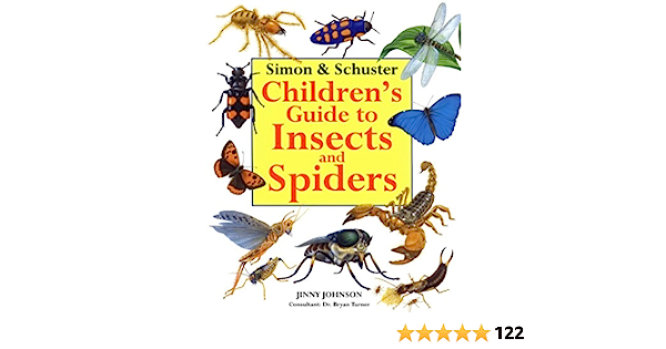 The Ultimate Guide to Spider Beetles: Behavior, Habitat, and Identification