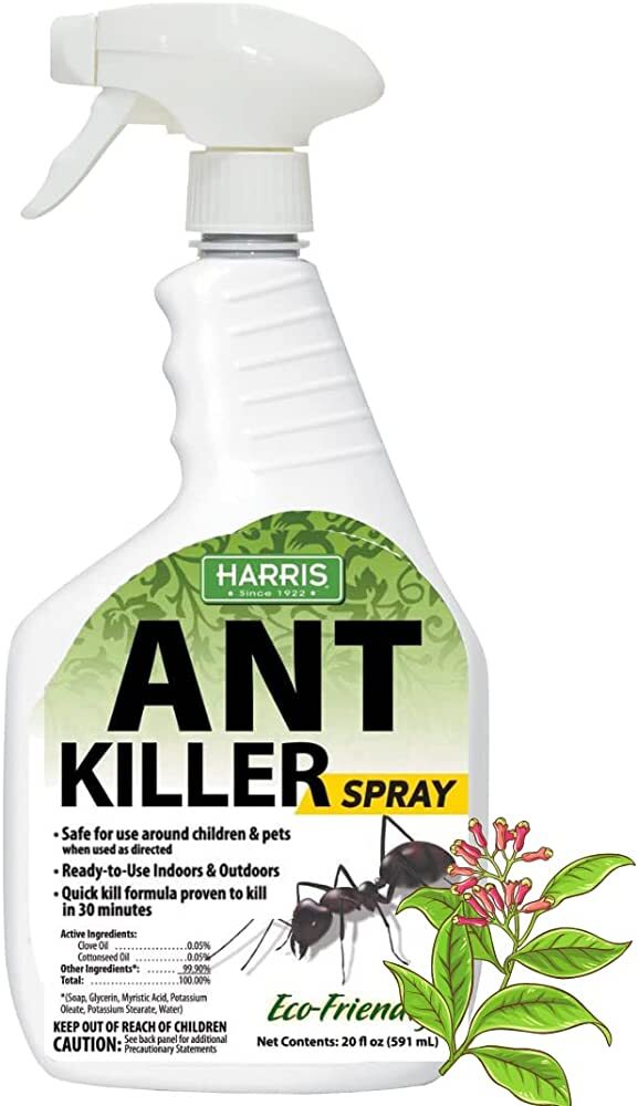 Safe and Eco-Friendly Solutions for Odorous House Ant Control